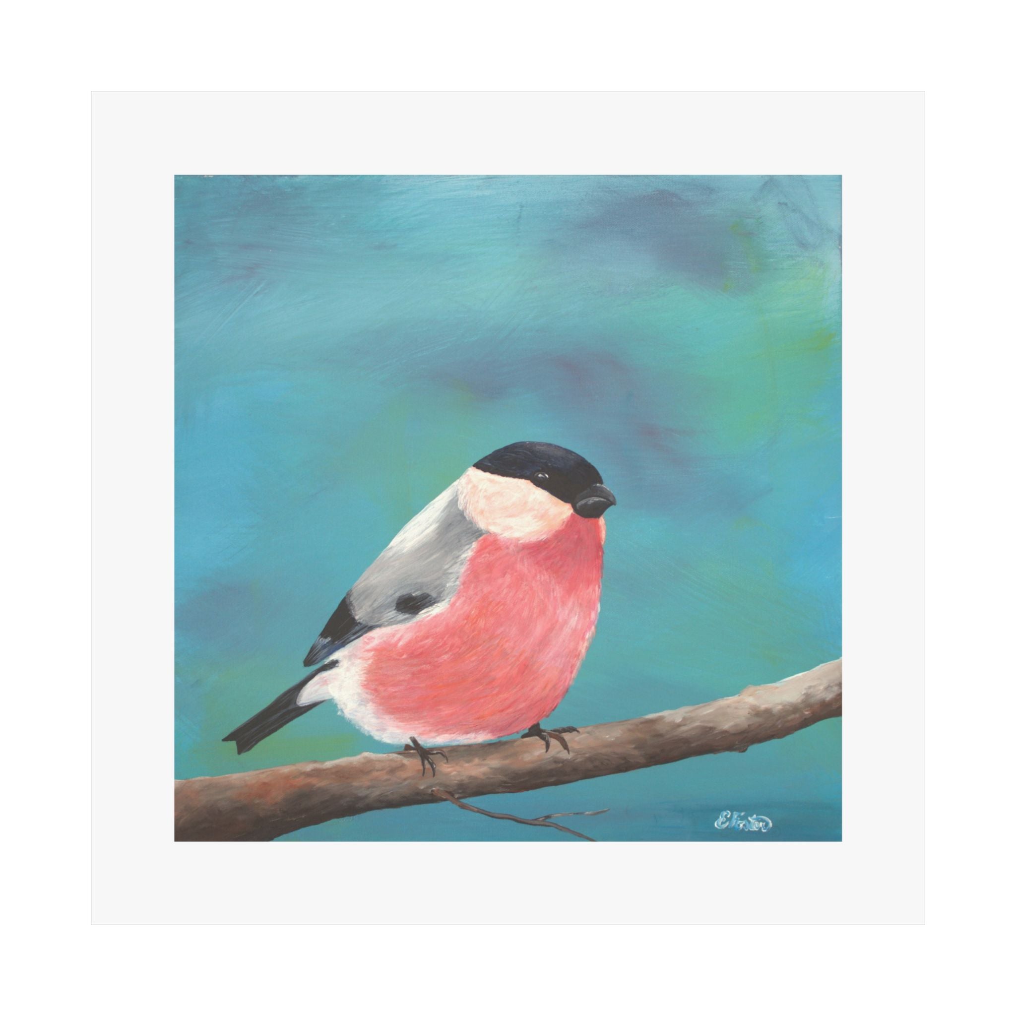 Bullfinch Bird Matte Poster — Colorful Square Wall Art for Nature Lovers