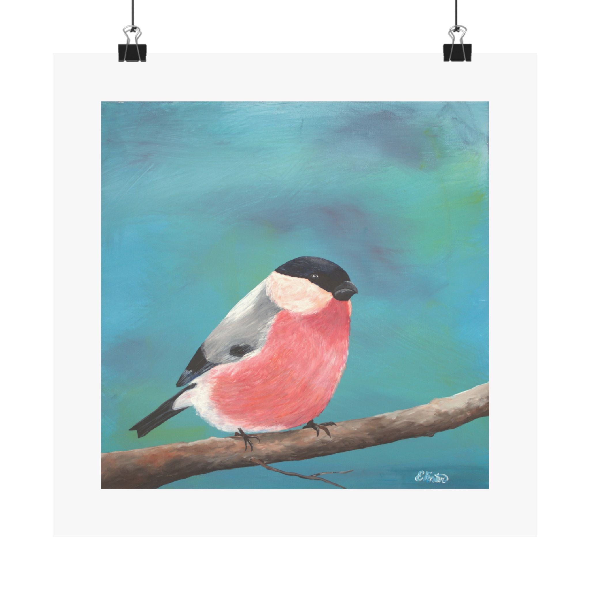 Bullfinch Bird Matte Poster — Colorful Square Wall Art for Nature Lovers