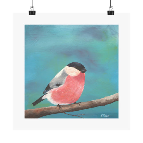 Bullfinch Bird Matte Poster — Colorful Square Wall Art for Nature Lovers