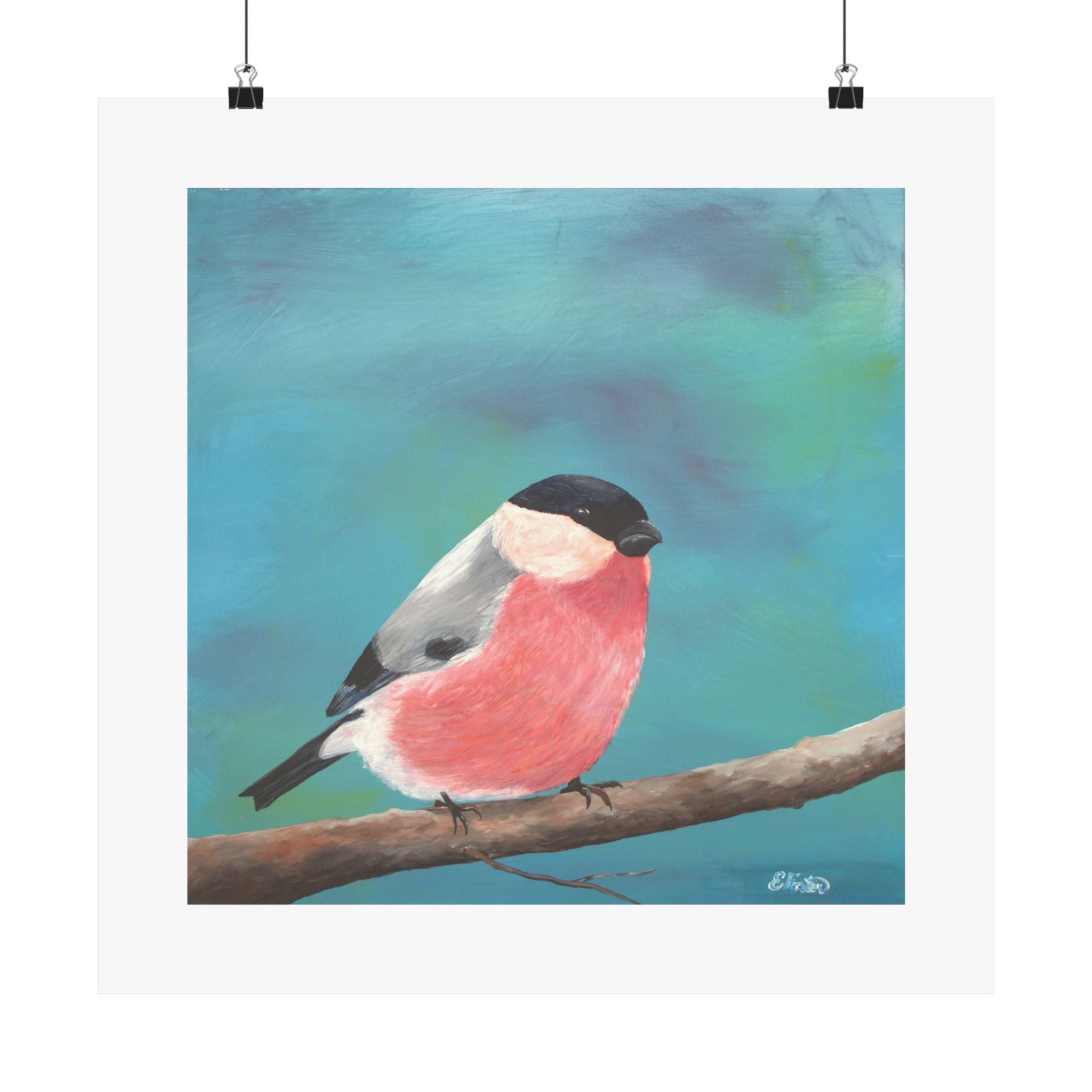 Bullfinch Bird Matte Poster — Colorful Square Wall Art for Nature Lovers