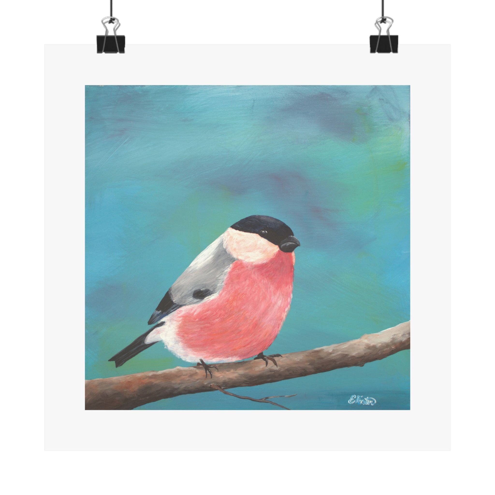 Bullfinch Bird Matte Poster — Colorful Square Wall Art for Nature Lovers