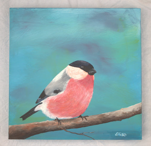 Bullfinch