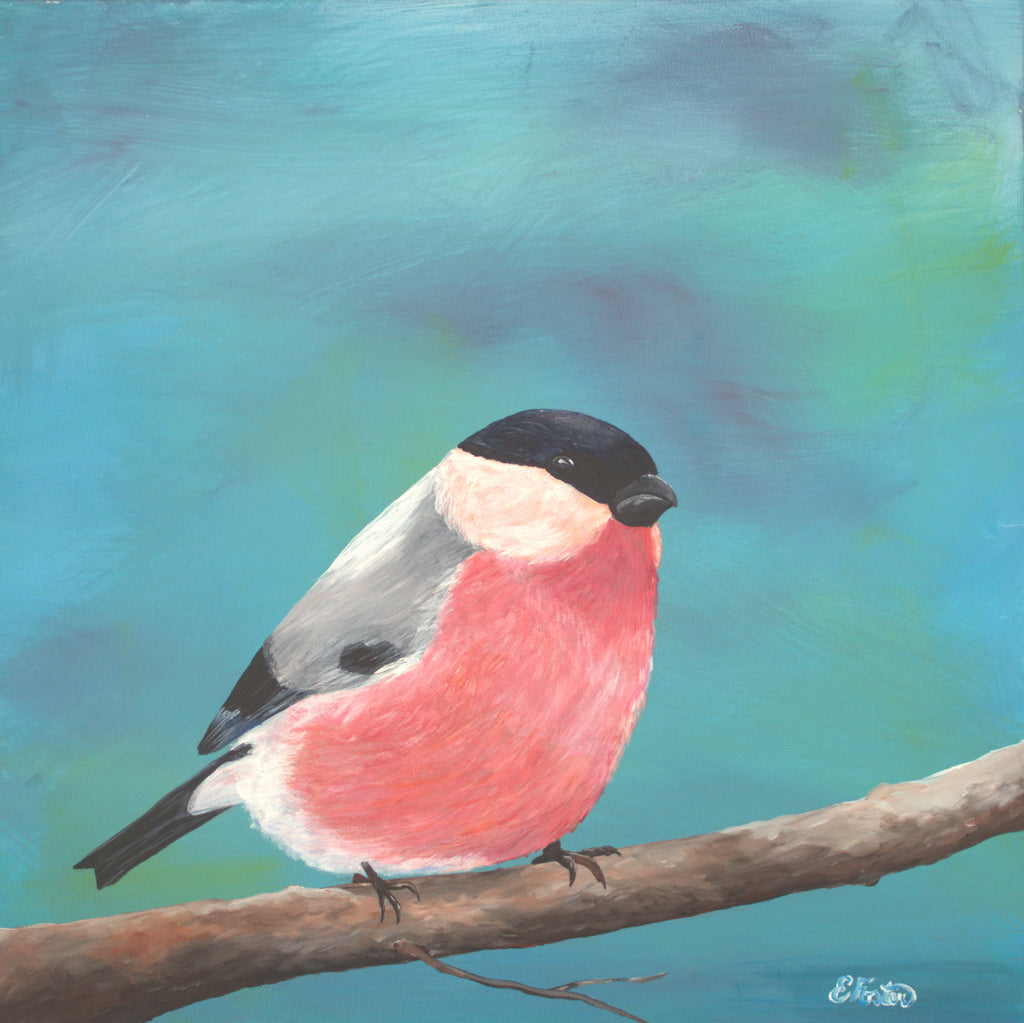 Bullfinch