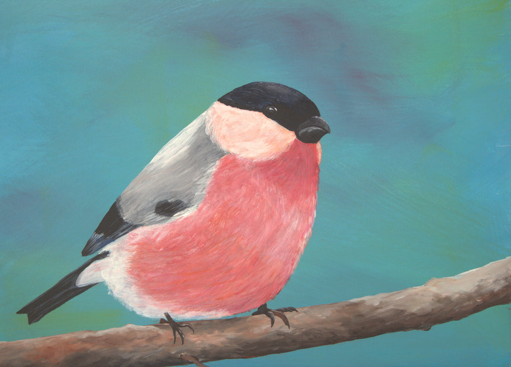 Bullfinch