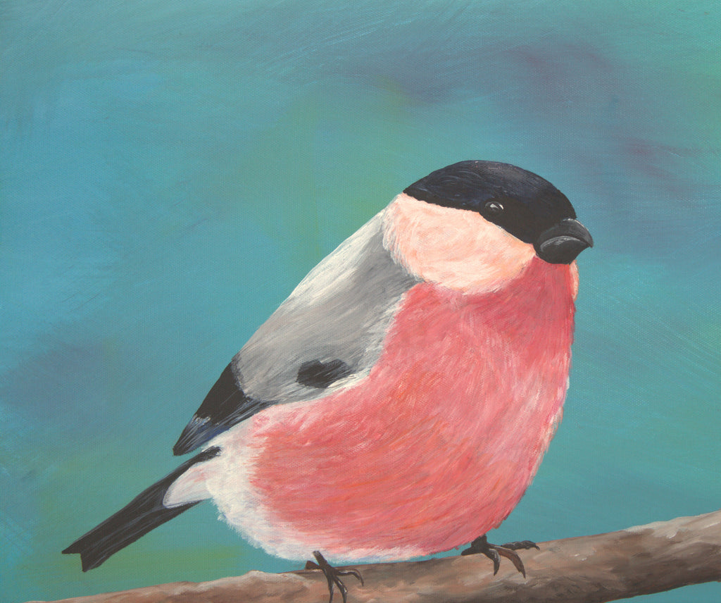 Bullfinch